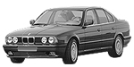 BMW E34 P1331 Fault Code